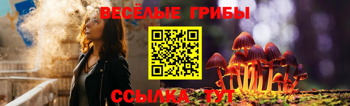 Саранск  Псилоцибиновые грибы мухоморы  Вход с VPN 